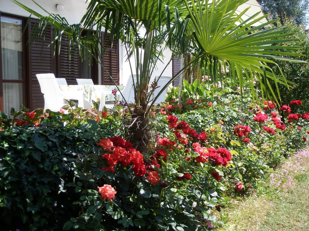 Apartments Barbara Poreč Exterior foto